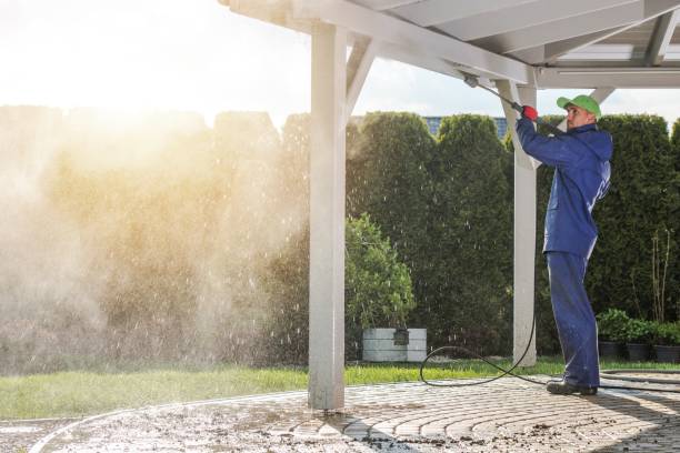 Best Animal Enclosure Cleaning  in Big Pine, CA